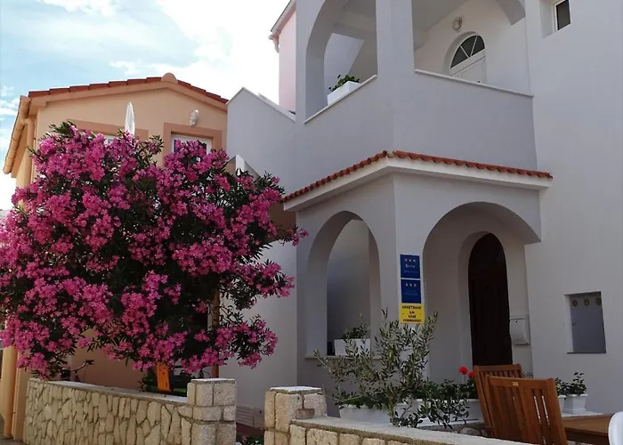 Studio Pag 16100A 파그 사진